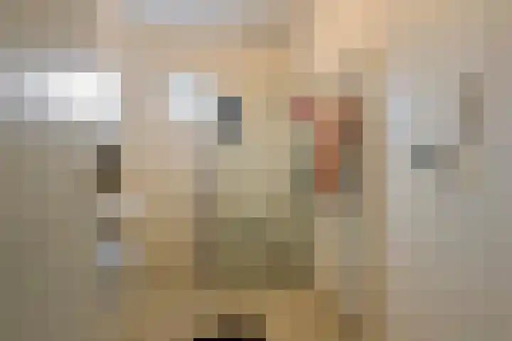 Dorpsstraat 14 a Ingen thumbnail 21