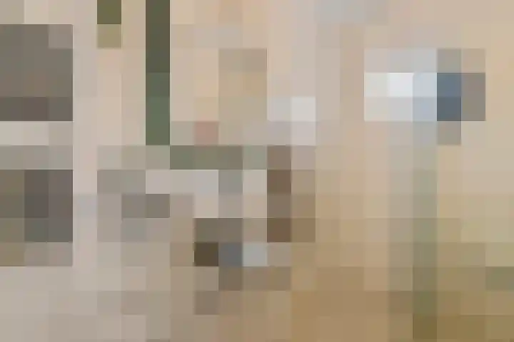 Dorpsstraat 14 a Ingen thumbnail 22