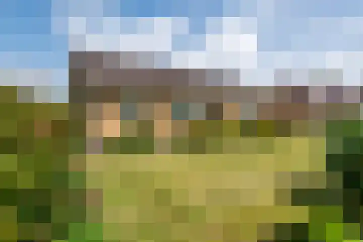 Dorpsstraat 14 a Ingen thumbnail 38