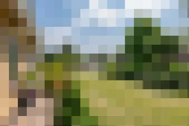 Dorpsstraat 14 a Ingen thumbnail 5