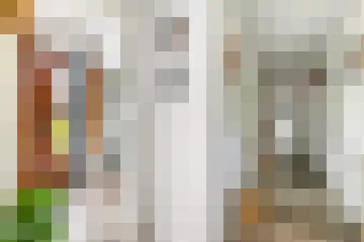 Dorpsstraat 14 a Ingen thumbnail 7