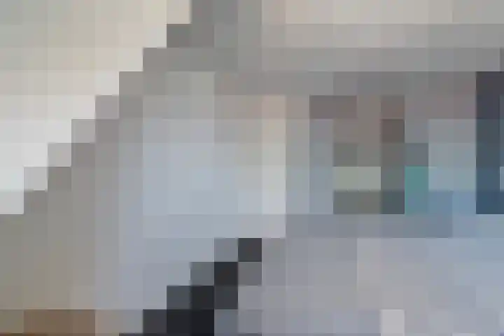 Dorpsstraat 16 Halsteren thumbnail 11