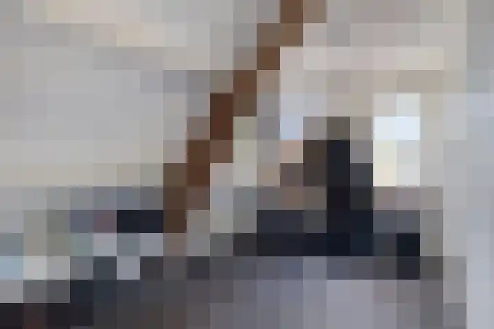 Dorpsstraat 16 Halsteren thumbnail 12