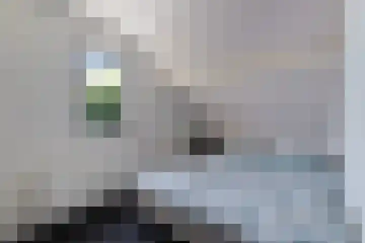 Dorpsstraat 16 Halsteren thumbnail 14
