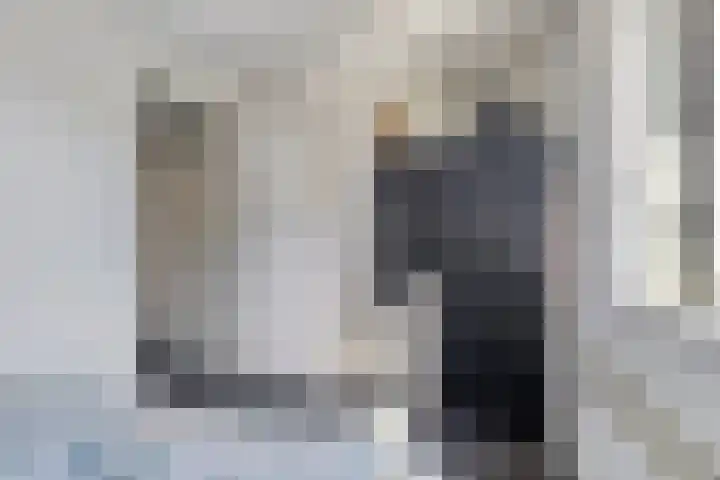 Dorpsstraat 16 Halsteren thumbnail 15