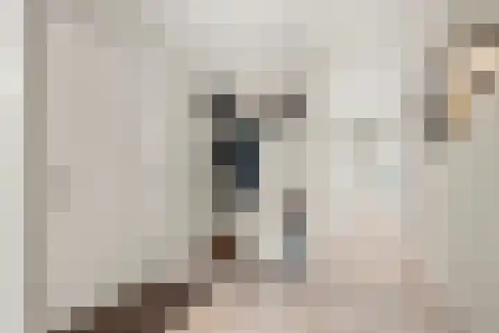 Dorpsstraat 17 B Lunteren thumbnail 8