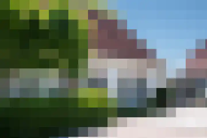 Dorpsstraat 18 Schraard thumbnail 10