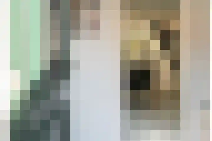 Dorpsstraat 18 Schraard thumbnail 15