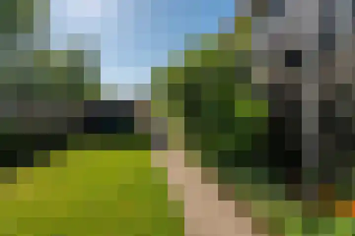 Dorpsstraat 18 Schraard thumbnail 39
