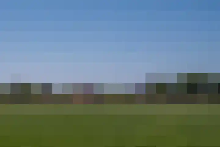 Dorpsstraat 18 Schraard thumbnail 5