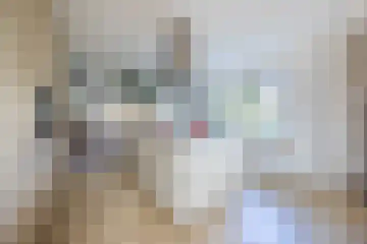 Dorpsstraat 182 Halsteren thumbnail 18