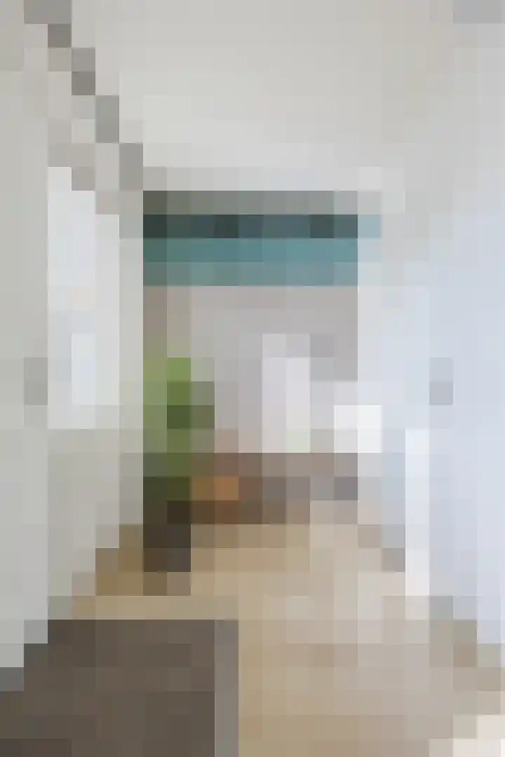 Dorpsstraat 182 Halsteren thumbnail 23
