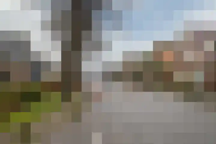 Dorpsstraat 184 Obdam thumbnail 4