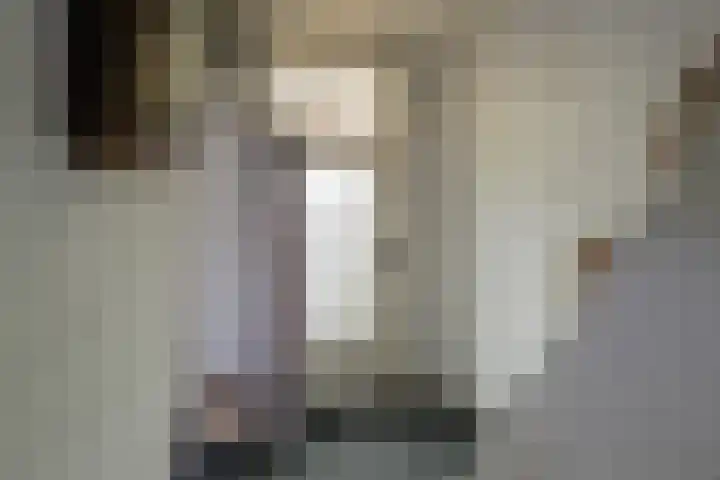 Dorpsstraat 184 Obdam thumbnail 9