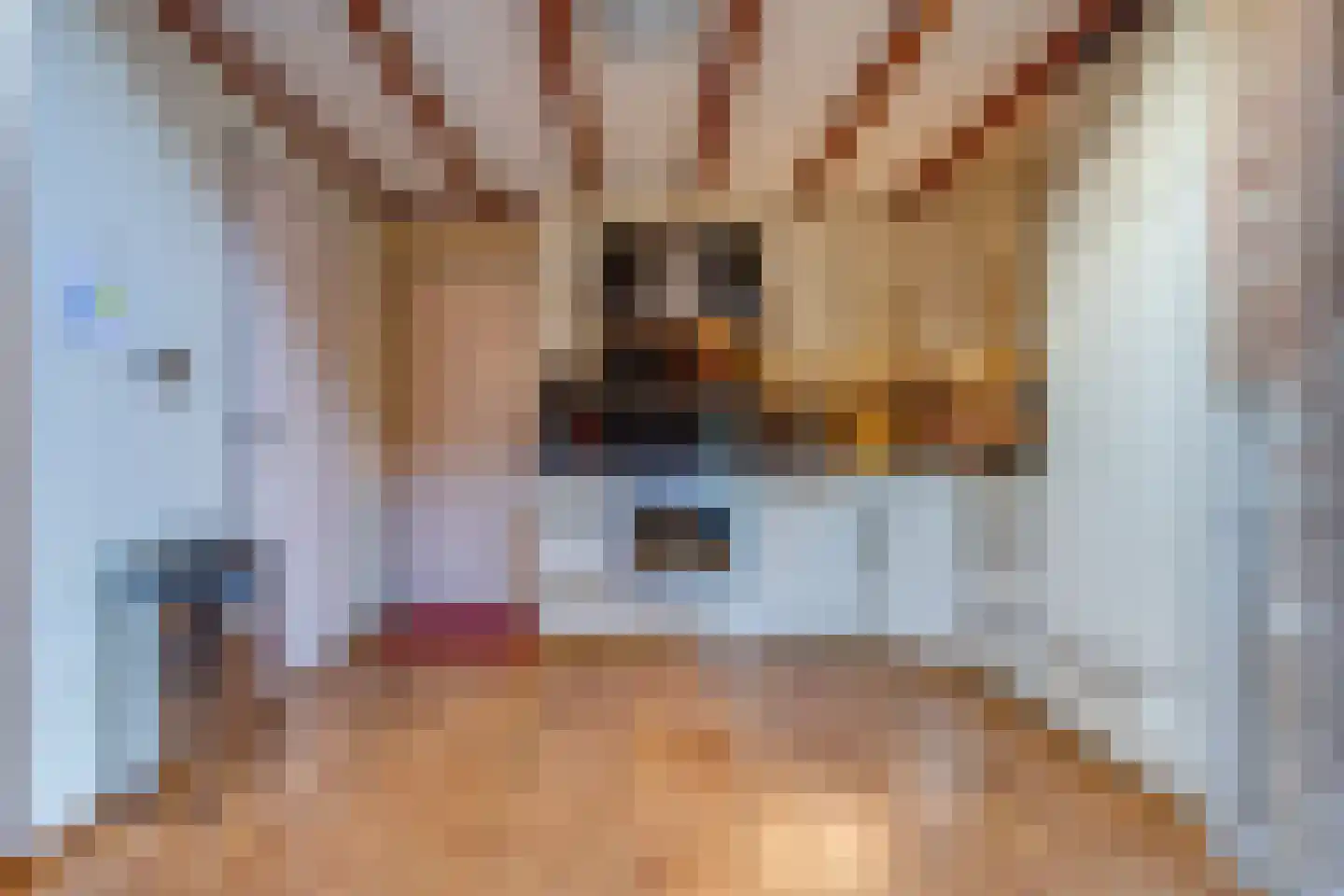 Dorpsstraat 2 a Sellingen thumbnail 13