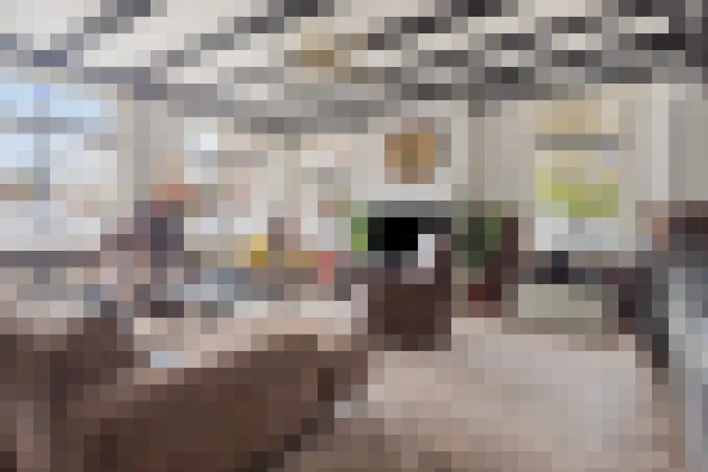 Dorpsstraat 2 Hoofdplaat thumbnail 14