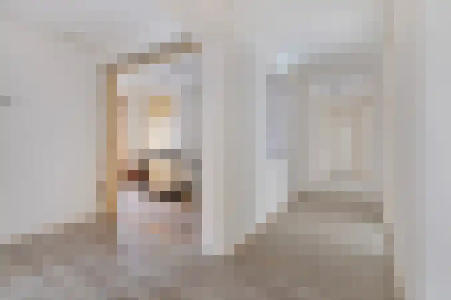 Dorpsstraat 2 Hoofdplaat thumbnail 4