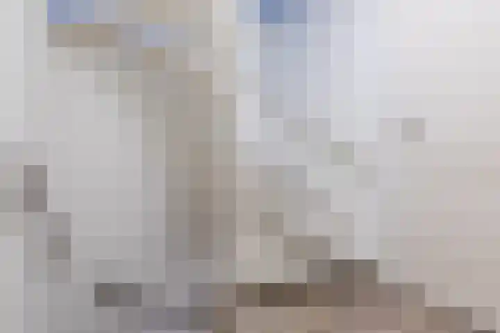 Dorpsstraat 20 Someren thumbnail 39