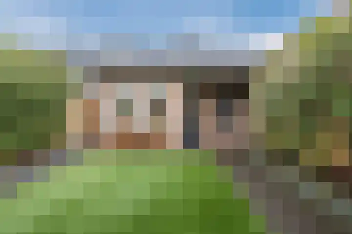 Dorpsstraat 20 Someren thumbnail 43