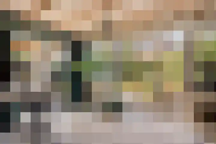 Dorpsstraat 21 Etten thumbnail 17