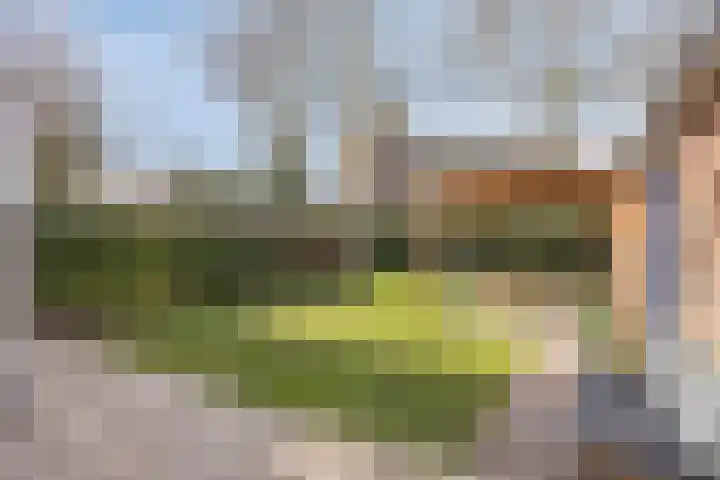 Dorpsstraat 21 Etten thumbnail 4