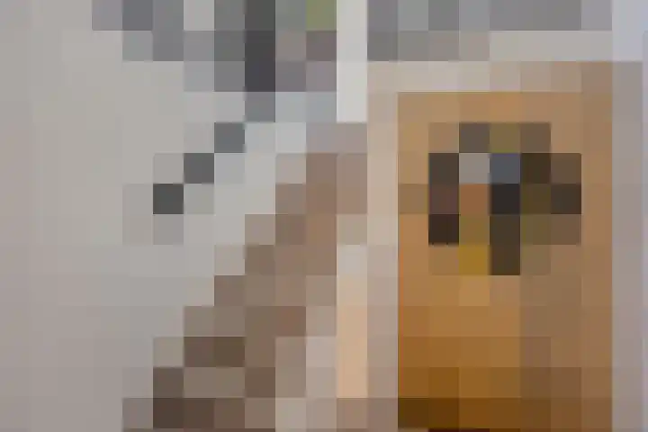 Dorpsstraat 21 Etten thumbnail 41