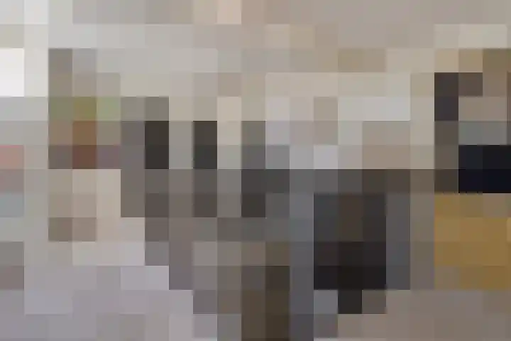 Dorpsstraat 21 Etten thumbnail 42