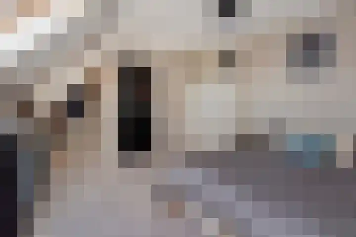 Dorpsstraat 21 Etten thumbnail 53