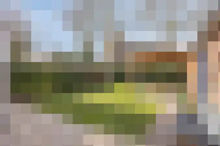 Dorpsstraat 21 Etten thumbnail 61