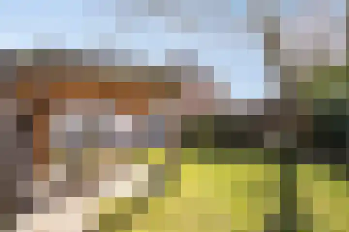 Dorpsstraat 21 Etten thumbnail 64