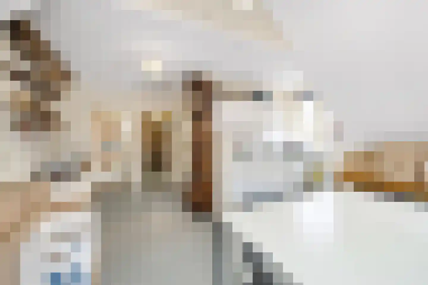 Dorpsstraat 22 Zuidland thumbnail 6