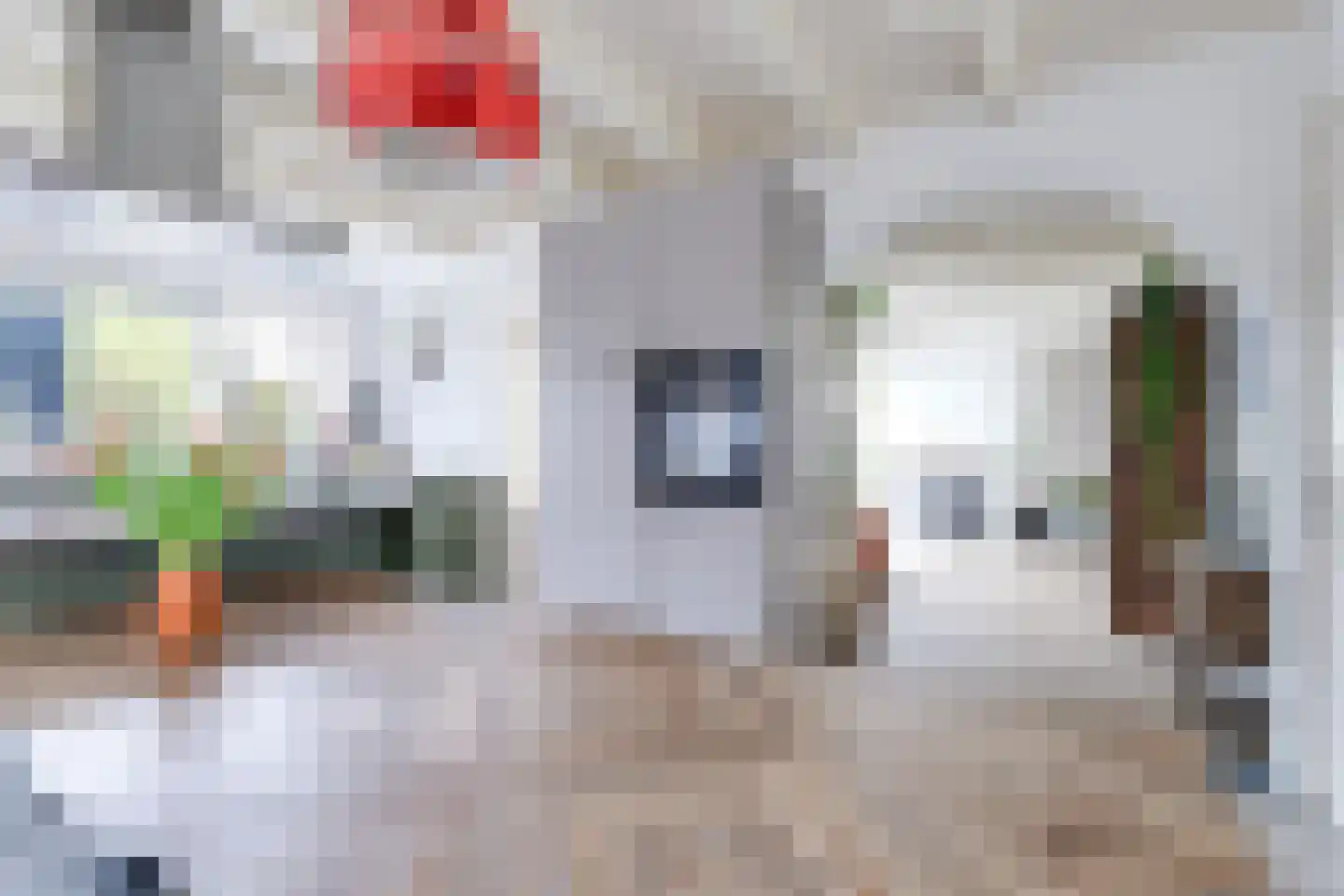 Dorpsstraat 226 Obdam thumbnail 29