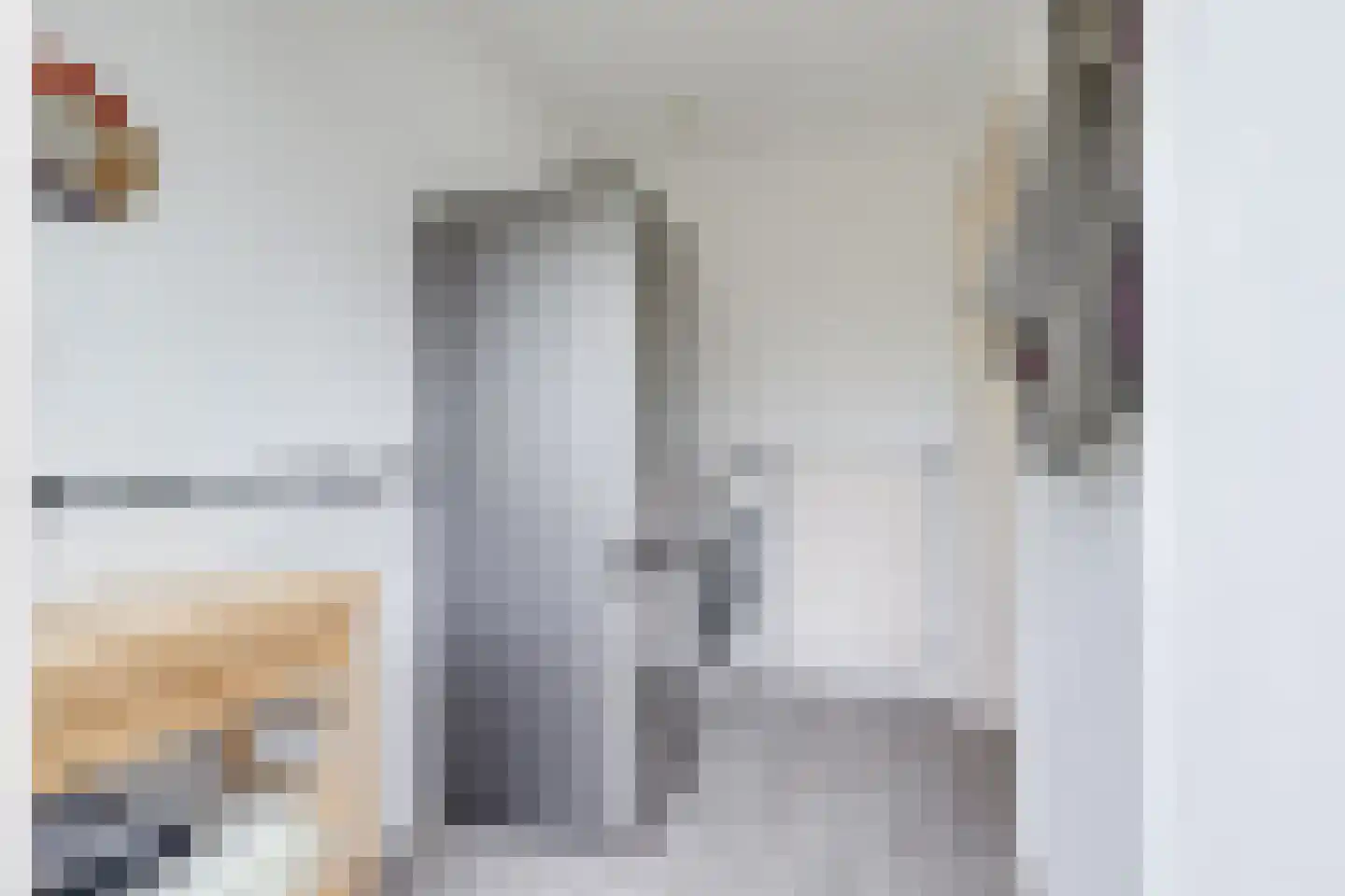 Dorpsstraat 226 Obdam thumbnail 36