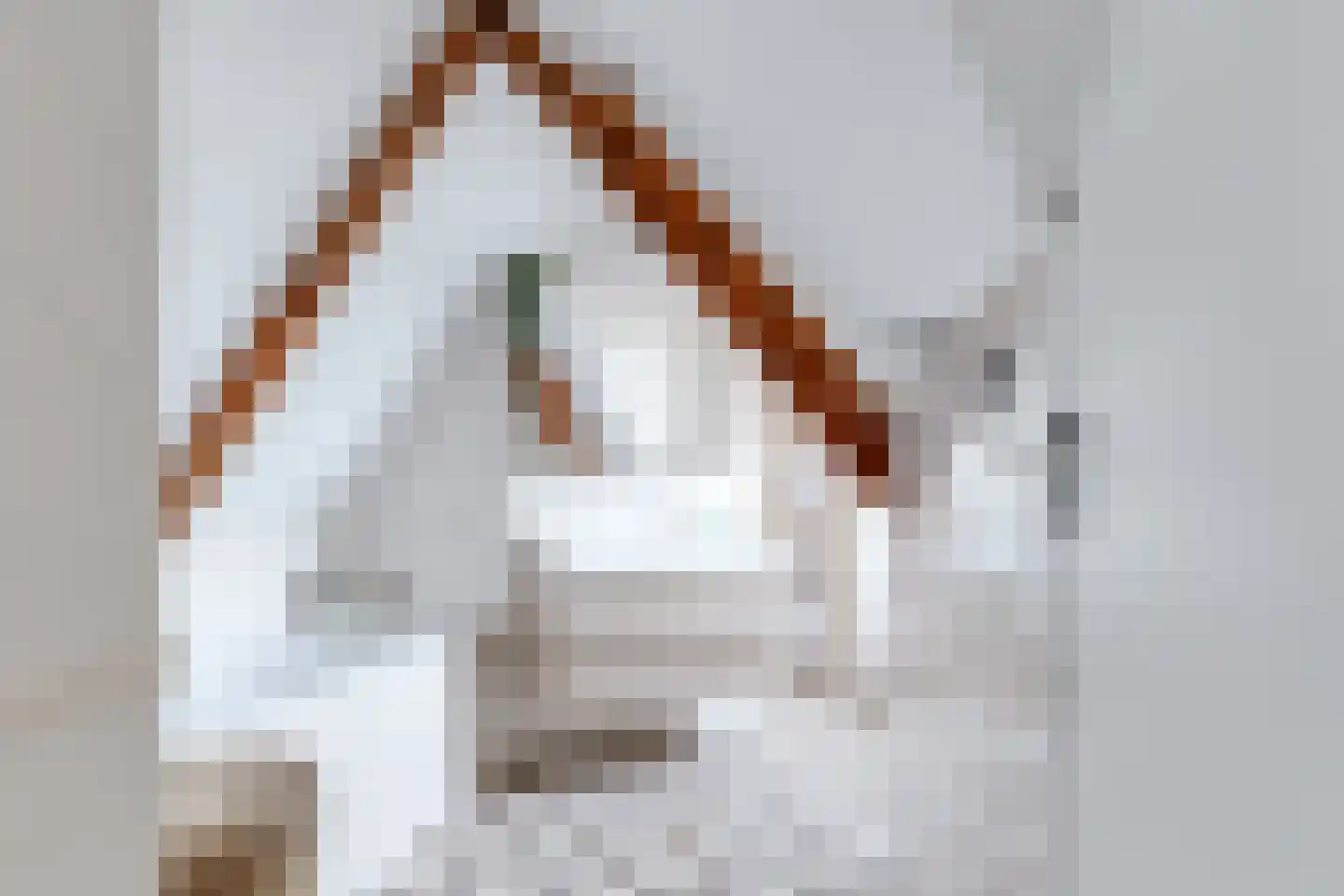 Dorpsstraat 226 Obdam thumbnail 45