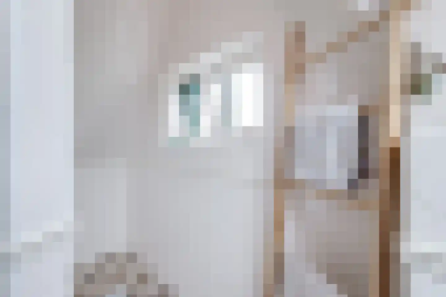 Dorpsstraat 226 Obdam thumbnail 49