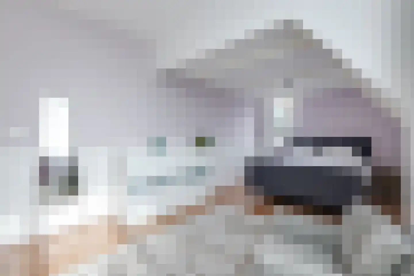 Dorpsstraat 226 Obdam thumbnail 63