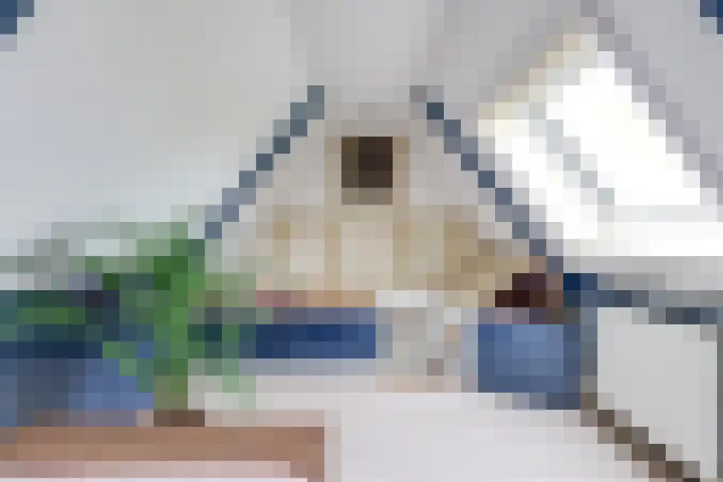 Dorpsstraat 226 Obdam thumbnail 73