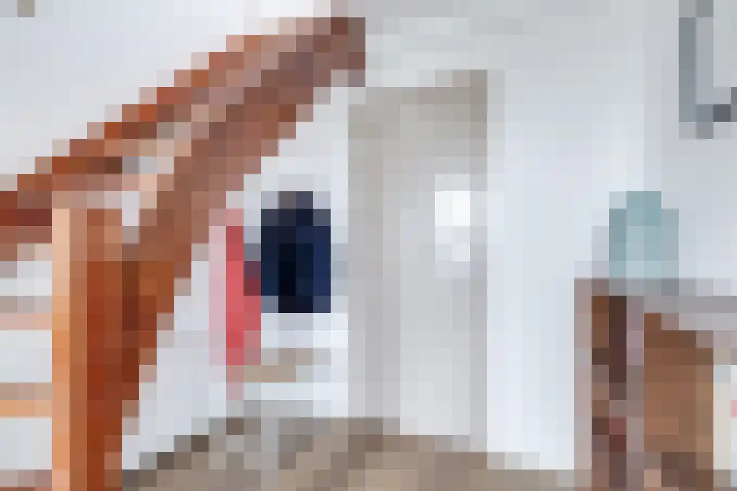 Dorpsstraat 226 Obdam thumbnail 8