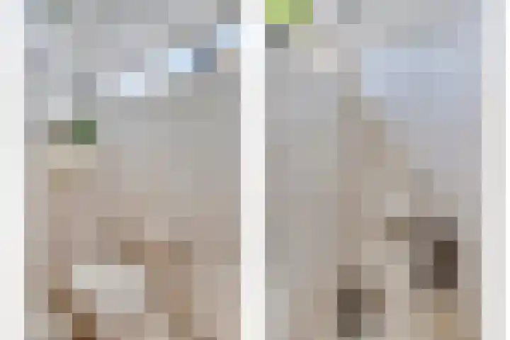 Dorpsstraat 24 Heteren thumbnail 13