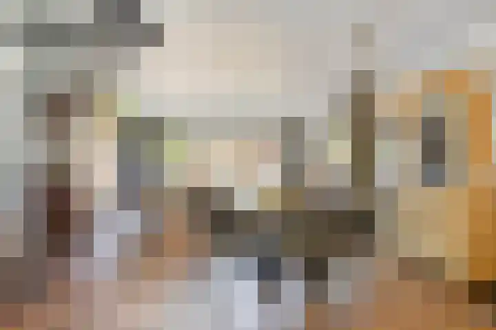 Dorpsstraat 24 Heteren thumbnail 17