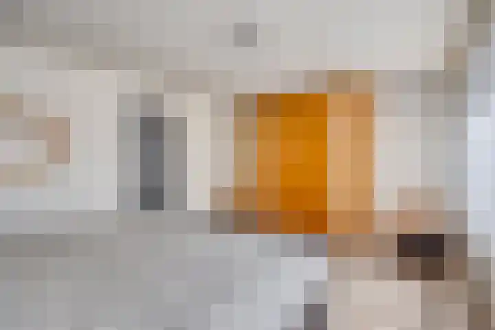 Dorpsstraat 24 Heteren thumbnail 30