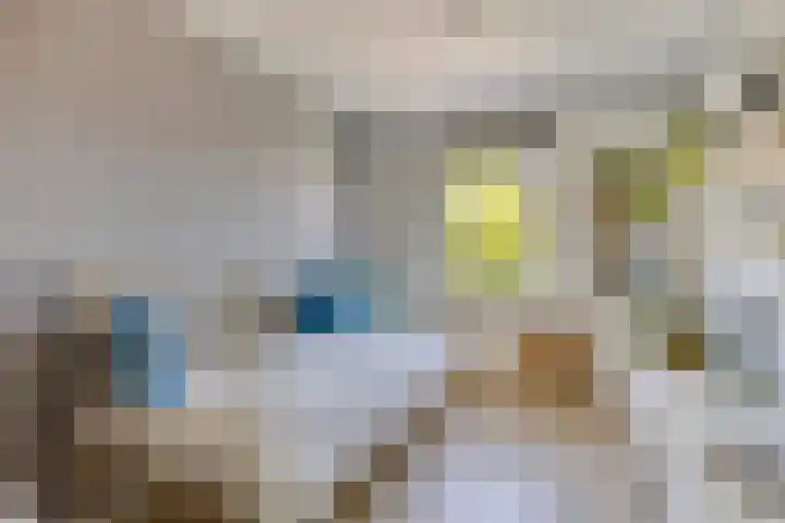 Dorpsstraat 24 Heteren thumbnail 31