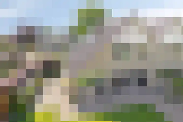Dorpsstraat 24 Heteren thumbnail 40