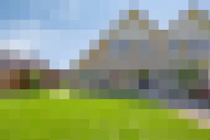 Dorpsstraat 24 Heteren thumbnail 42