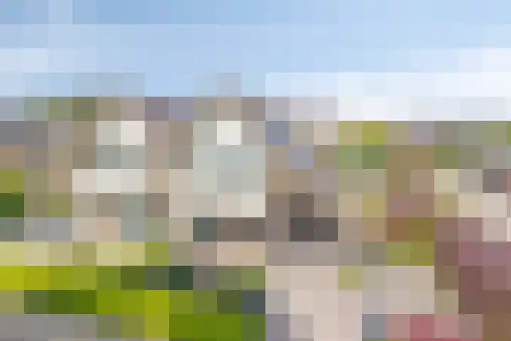 Dorpsstraat 24 Heteren thumbnail 7