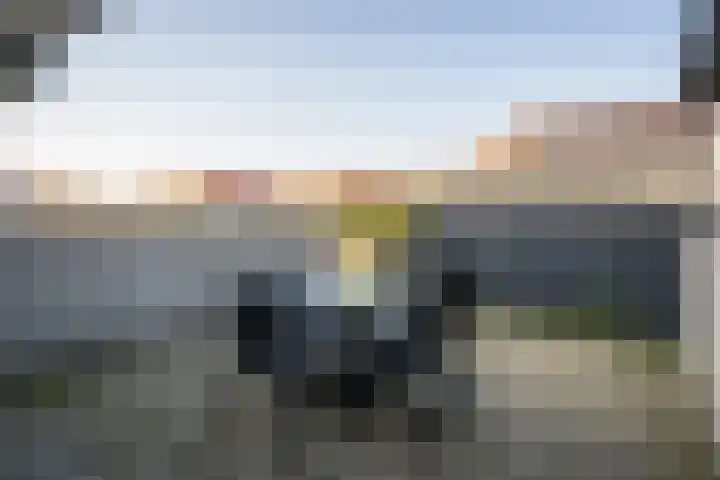 Dorpsstraat 241 De Koog thumbnail 14