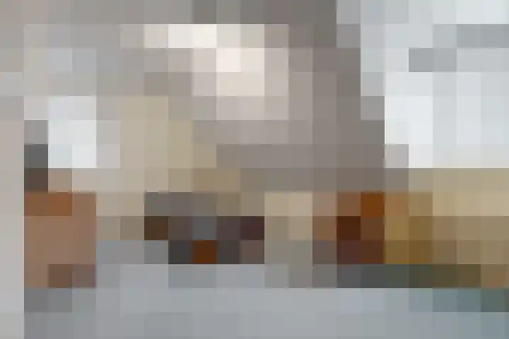 Dorpsstraat 26 Zoeterwoude thumbnail 20