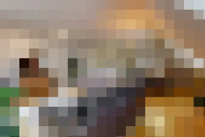 Dorpsstraat 26 Zoeterwoude thumbnail 5