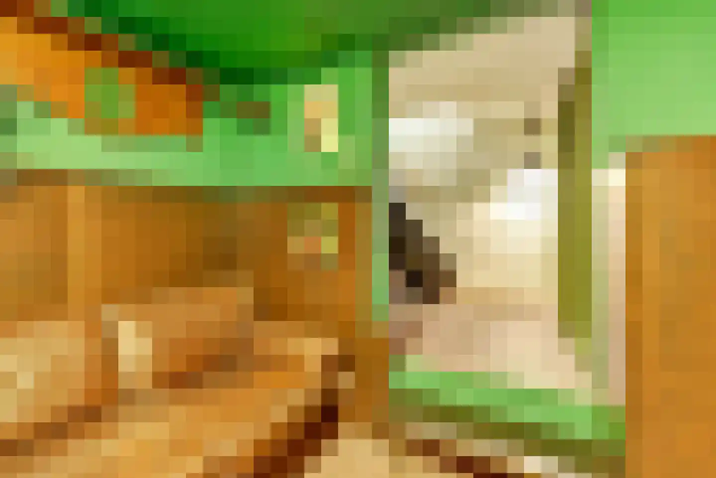 Dorpsstraat 27 Bennekom thumbnail 37