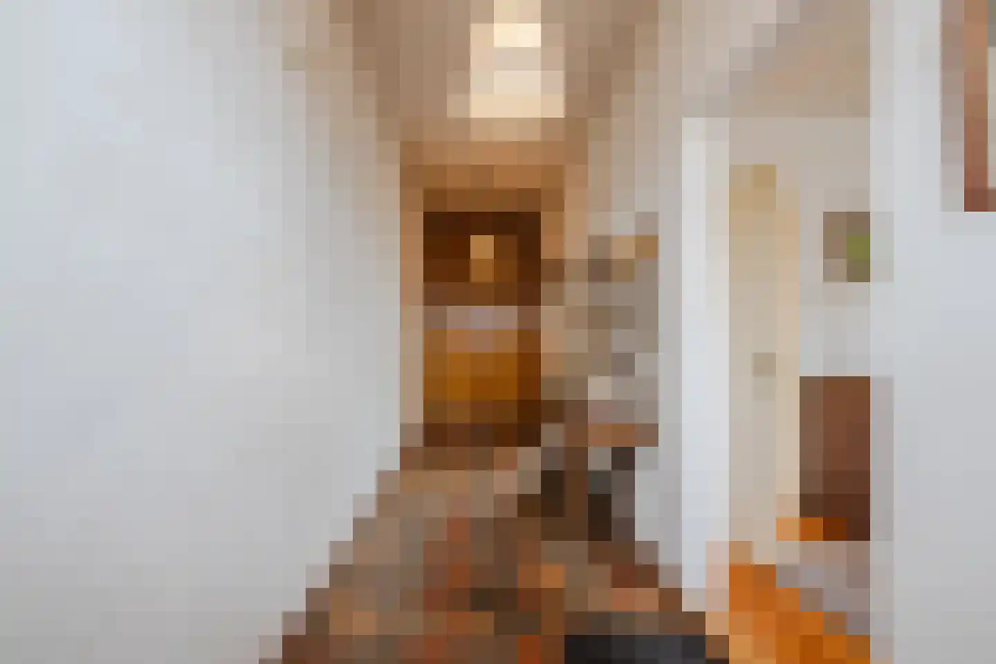 Dorpsstraat 27 Havelte thumbnail 19